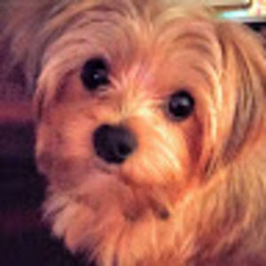 Meet your Posher, Mona